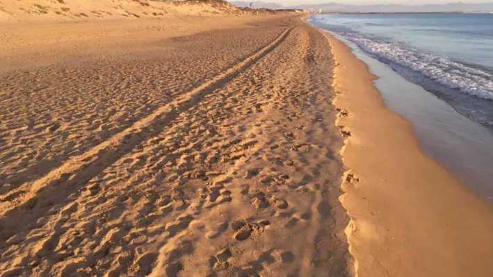 Tragedia en Alicante: Mueren dos jóvenes en una playa de Guardamar con bandera roja