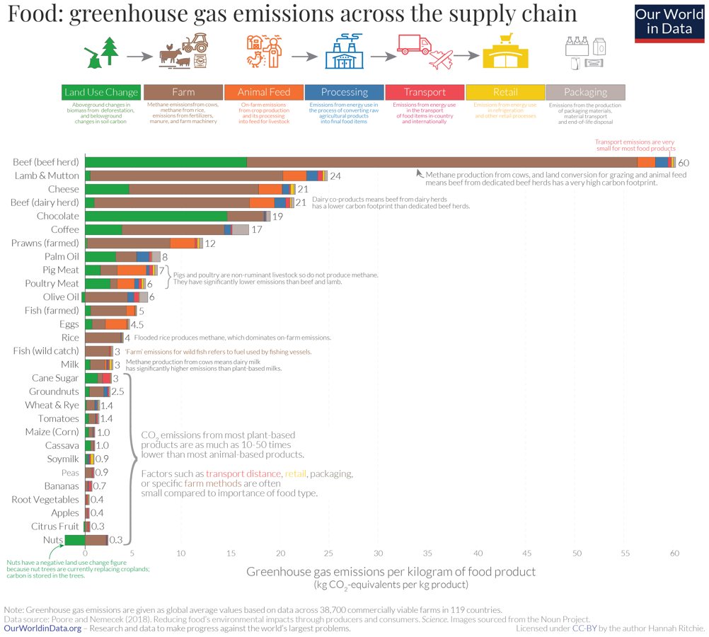 Improved reporting needed on forest carbon emissions