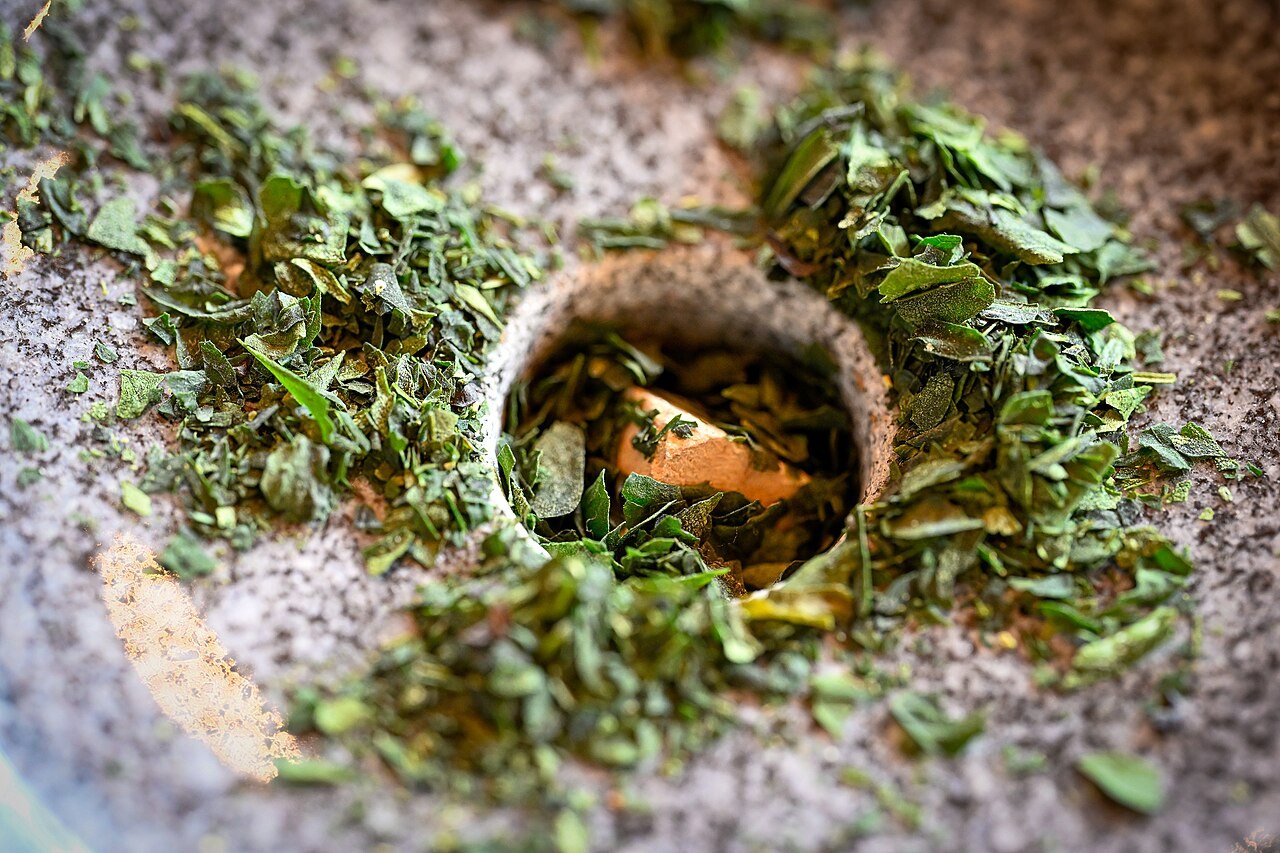 Tencha sur une meule traditionnelle en pierre à Uji, Japon