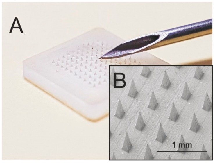 Tiny biodegradable stars enhance drug delivery to the skin