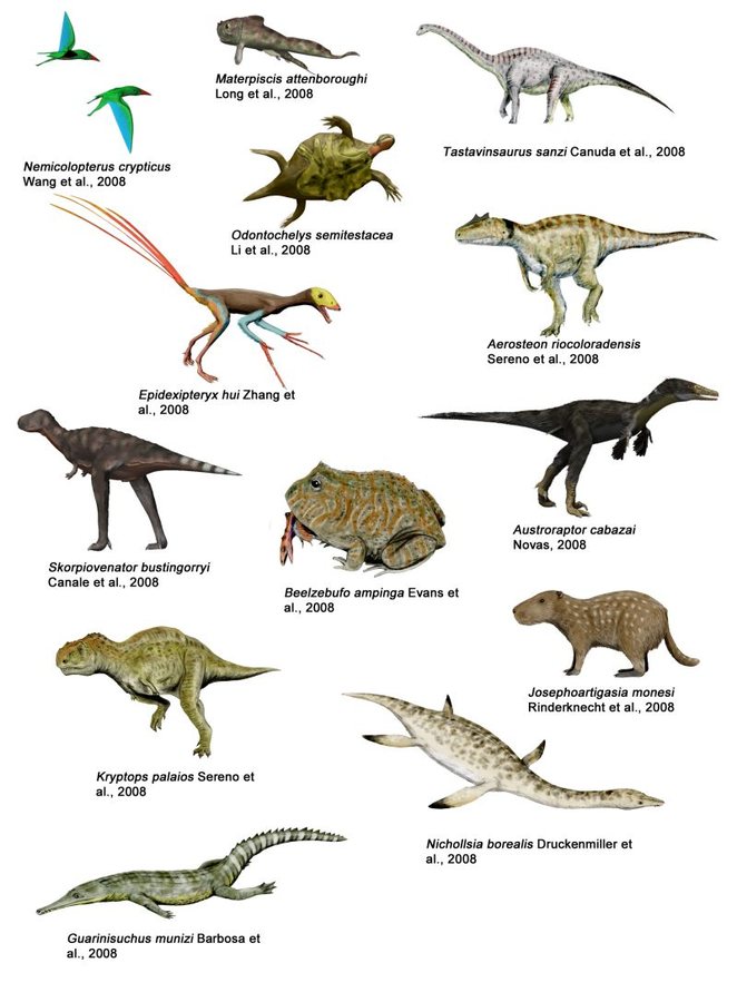 Paleontologists Identify New Tiny Primate Species in Wyoming Sandstone