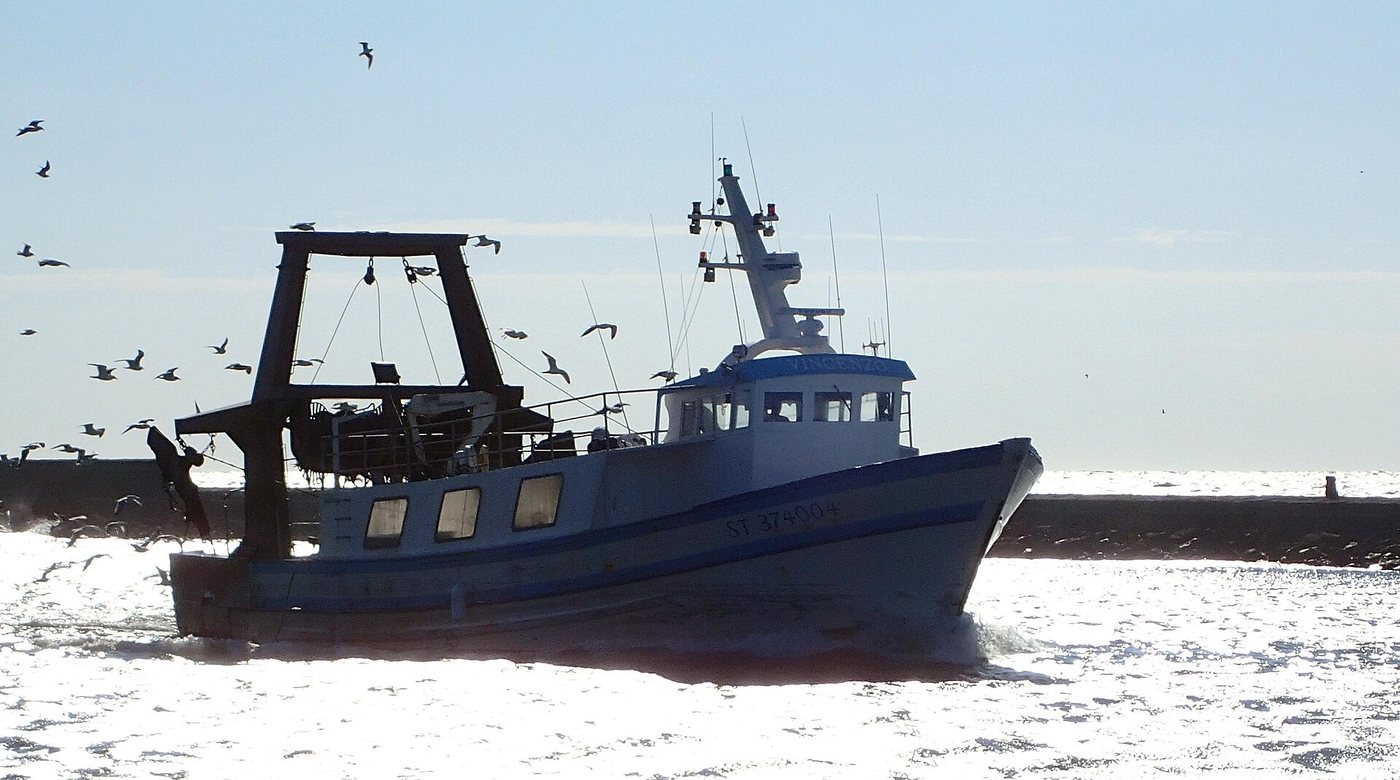 Chalutier méditerranéen du Grau-d'Agde (Ifremer 00681-79291).jpg