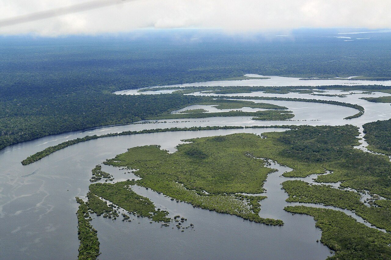 Daily briefing: Visit a huge climate experiment in the Amazon rainforest