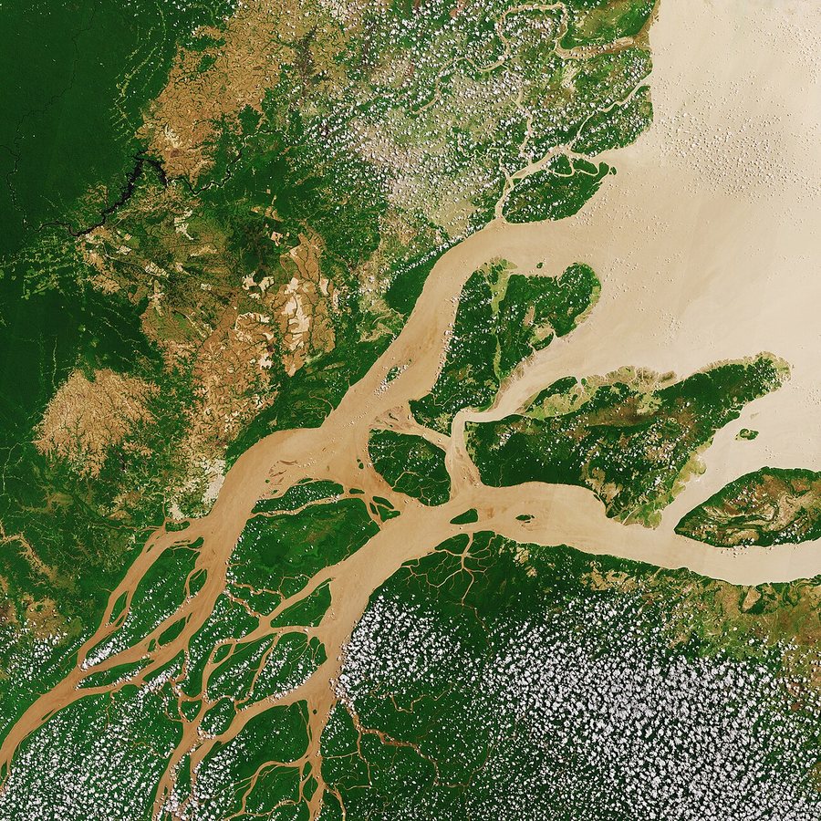 Amazon rivers fall to lowest levels in 121 years amid a severe drought