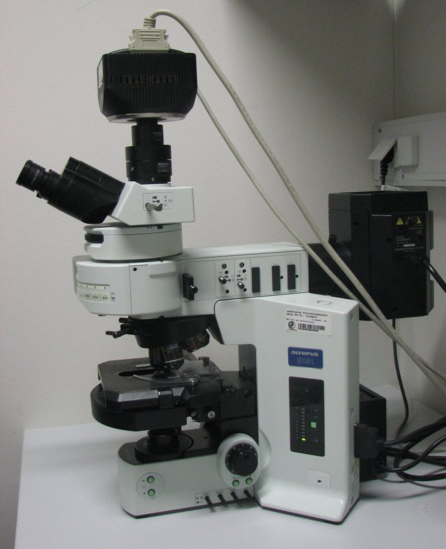 Disordered environments around tumour cells can promote cancer spread