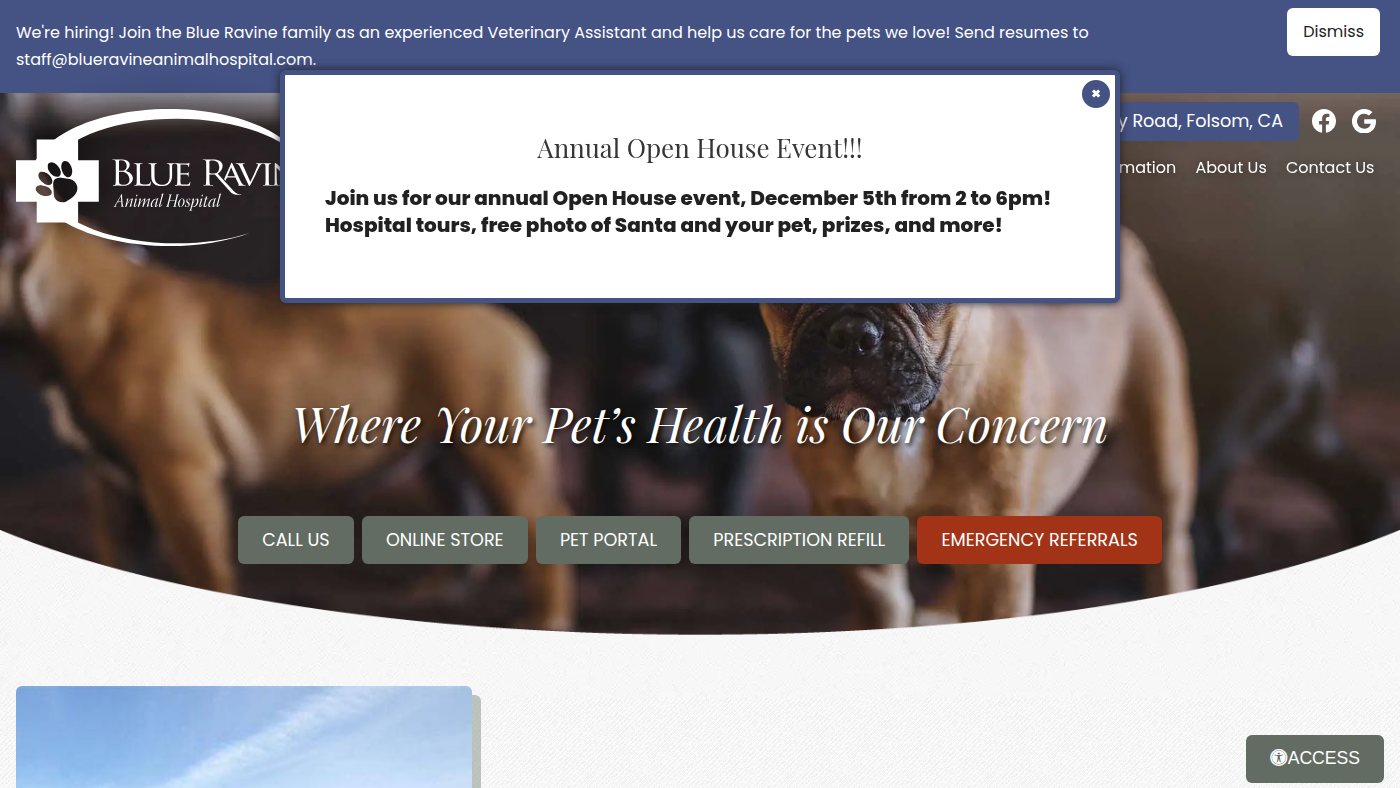 The home page of blueravineanimalhospital.com