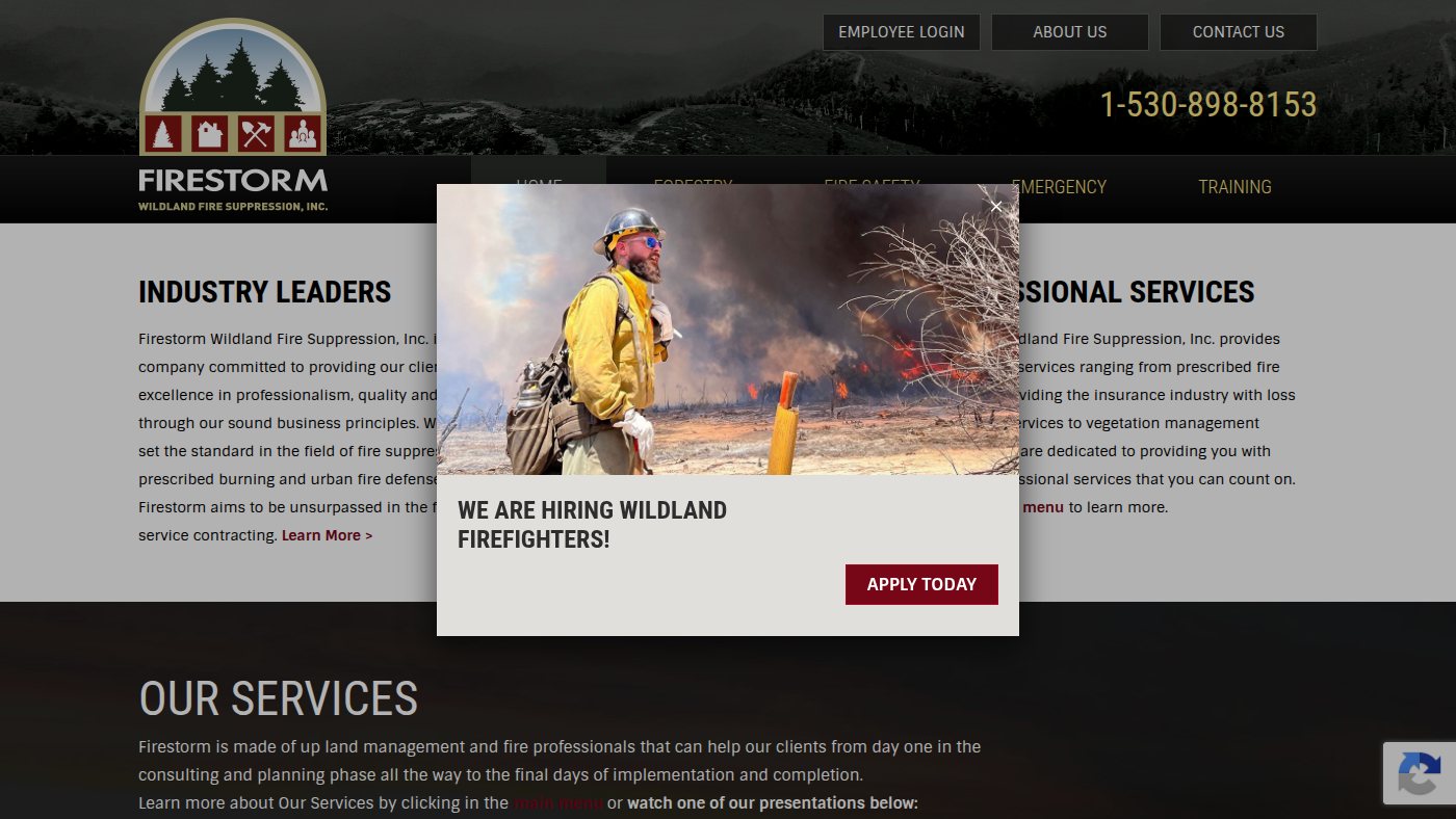 The home page of firestormfire.com