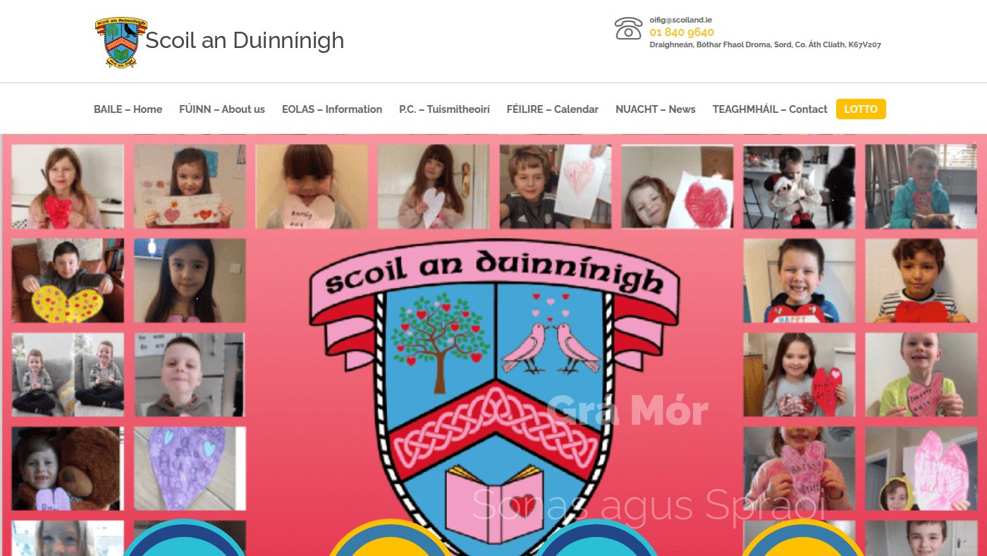 The home page of scoiland.ie