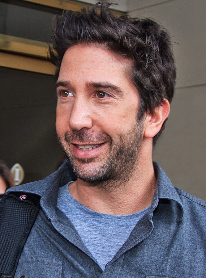 David Schwimmer, photographed in 2010