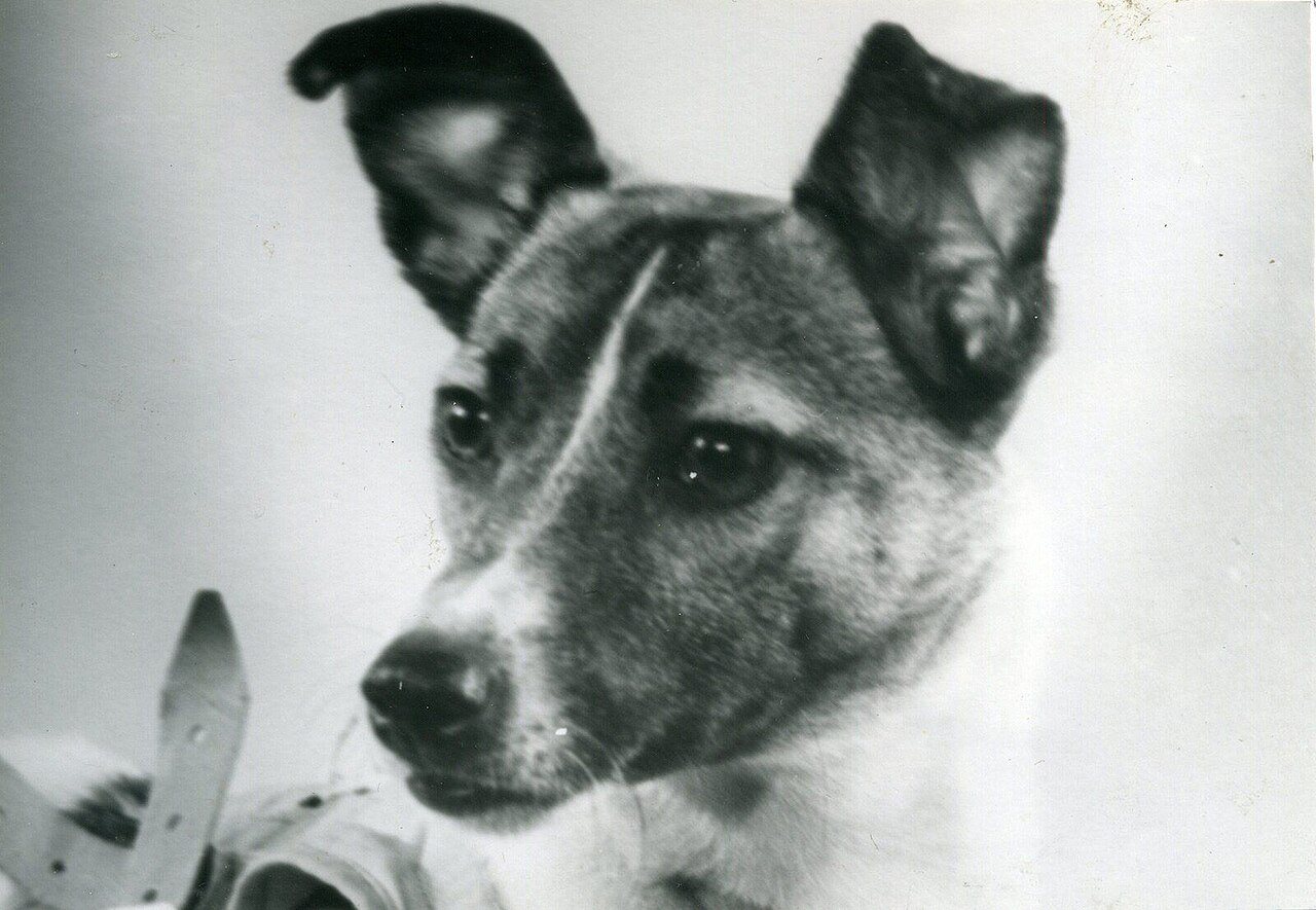 How can LAIKA keep making high budget stop motion movies when they don't make money?