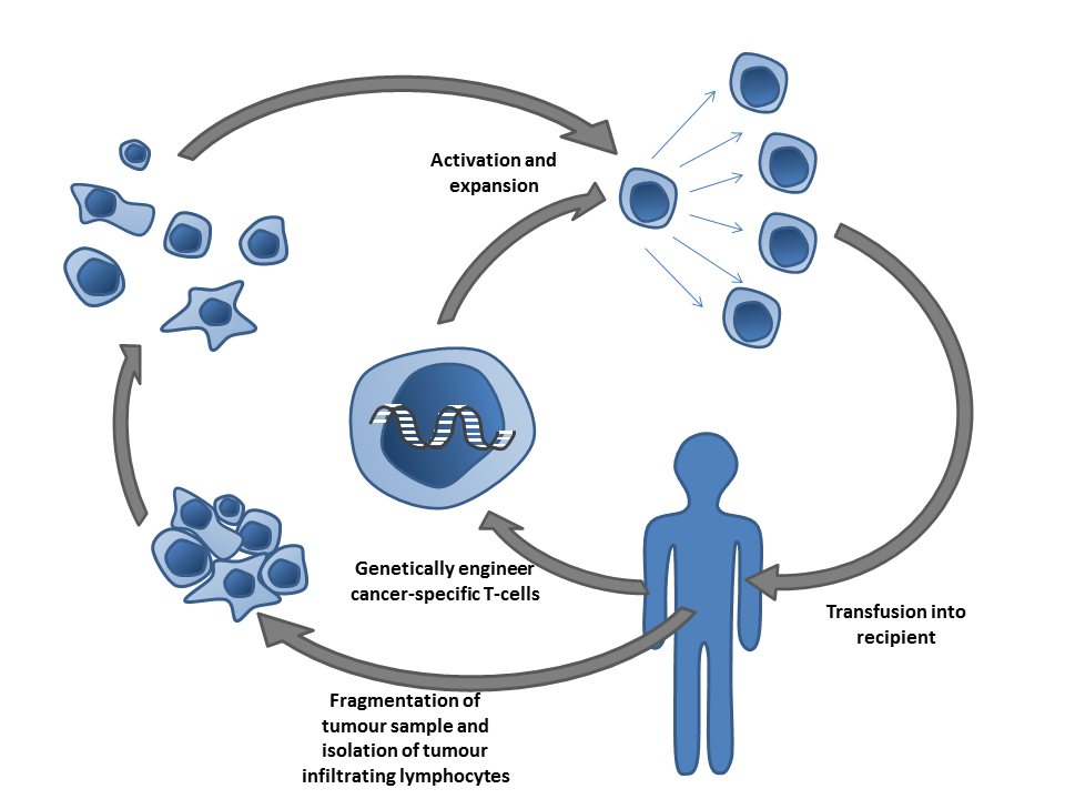 Determinants of response to CAR T cell therapy in a multicenter, multi-trial cohort analysis of patients with lymphoma