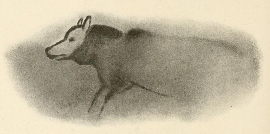 Paleolithic Child’s Teeth Reexamined