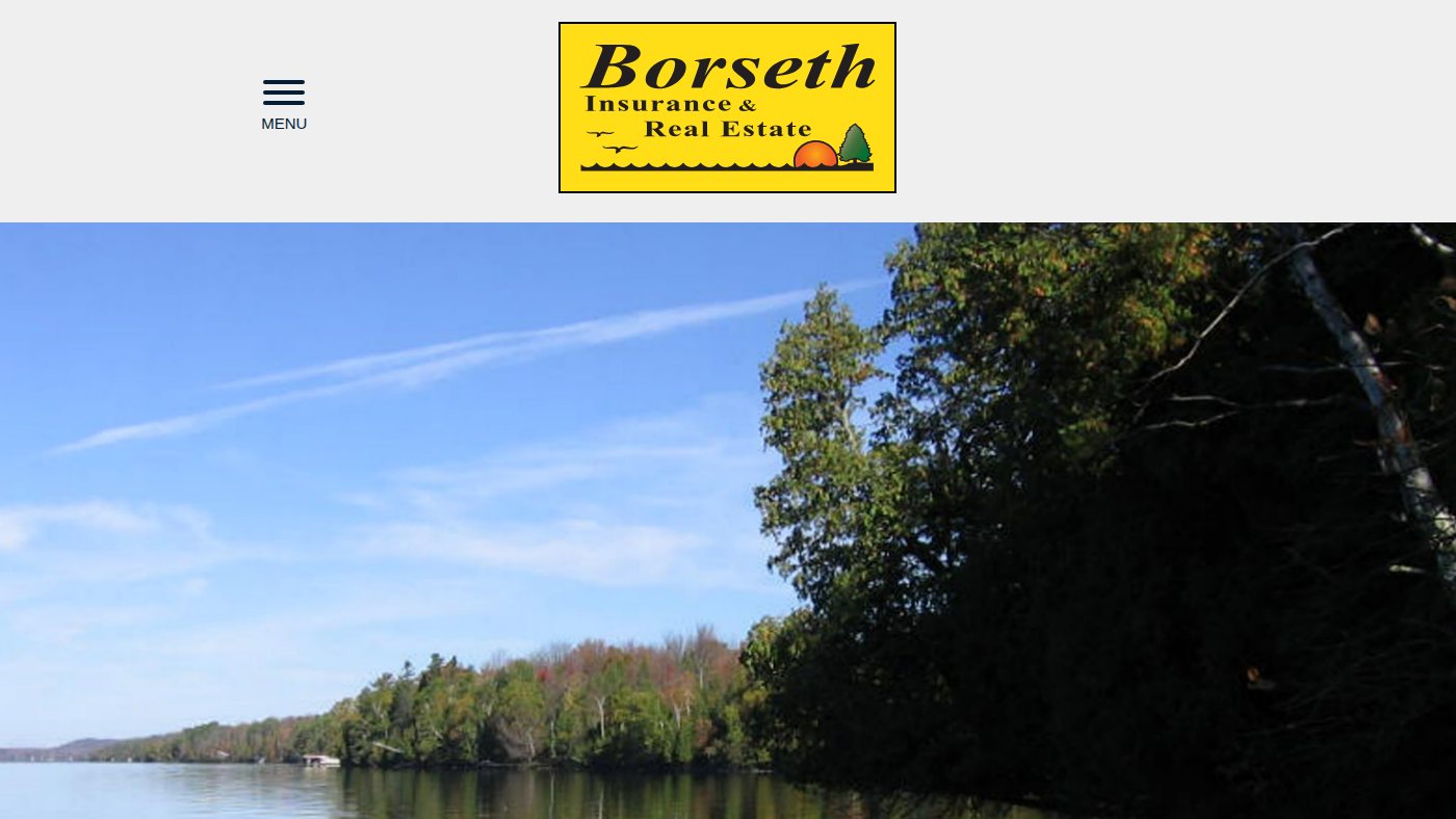 The home page of borsethproperties.com