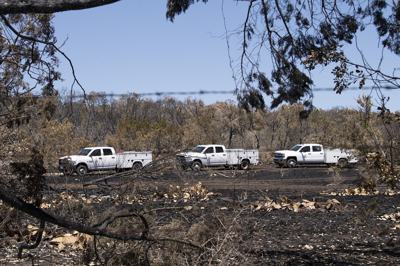 Summer wildfires caused catastrophic hidden damage, scientists warn