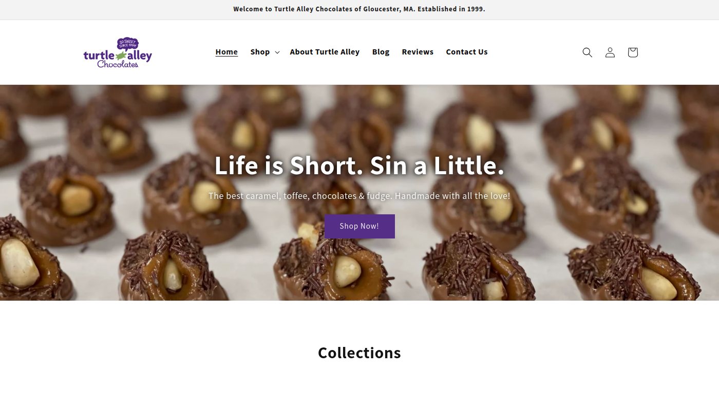 The home page of turtlealley.com