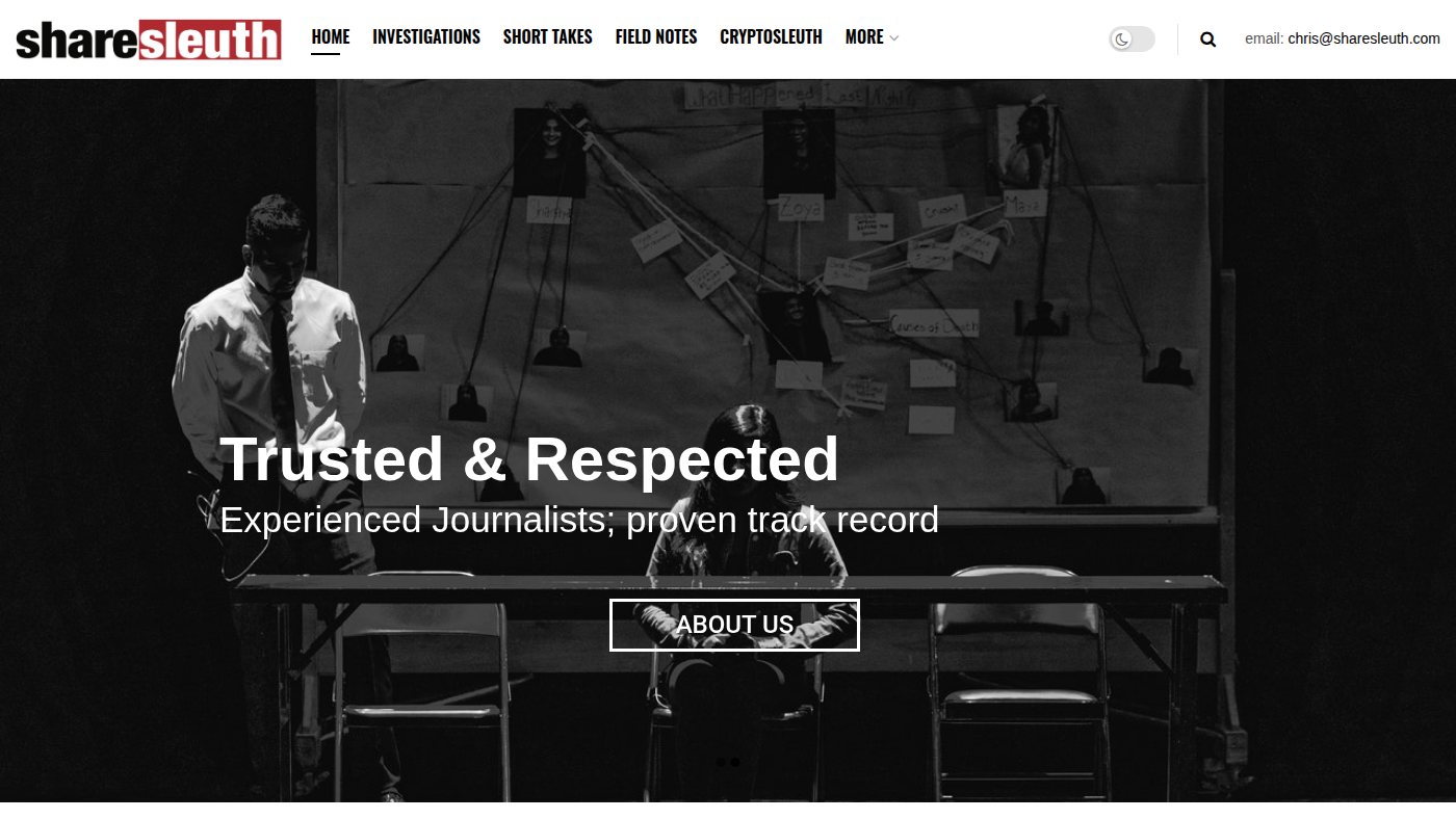The home page of sharesleuth.com