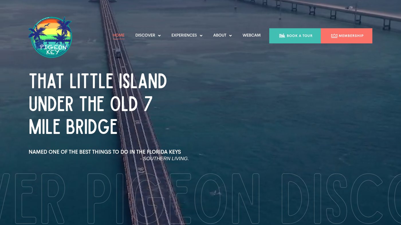 The home page of pigeonkey.net
