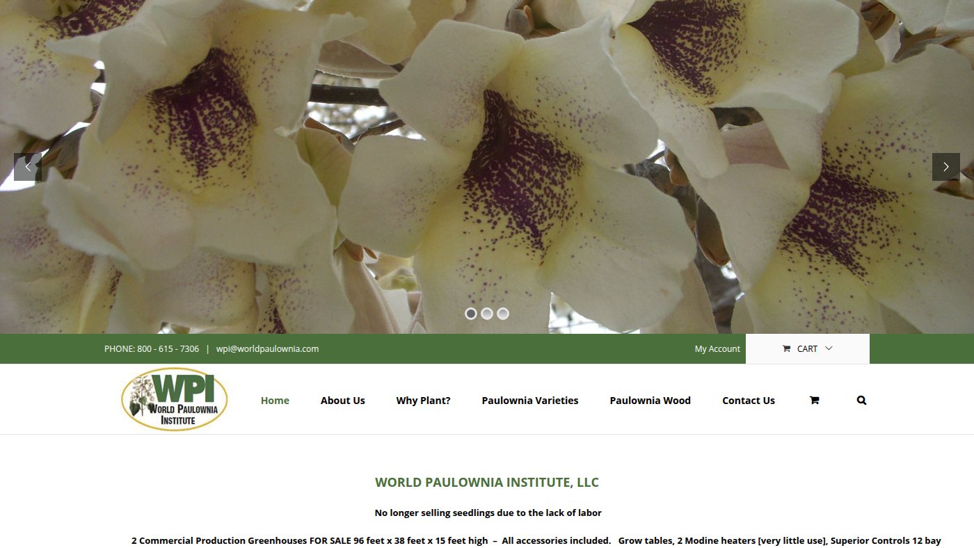 The home page of worldpaulownia.com