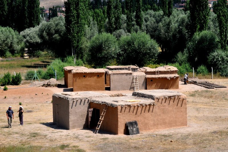 Black Figs Excavated at Neolithic Site in Northwestern Turkey