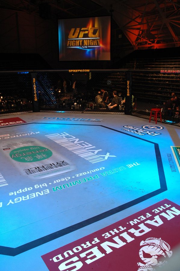Россиянин Пуляев нокаутом проиграл Пинасу на турнире UFC