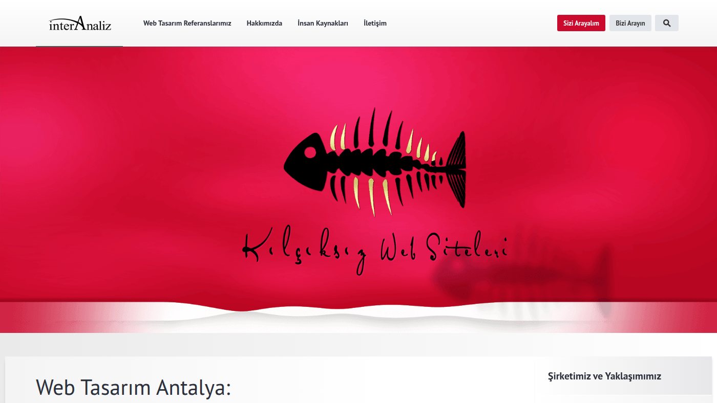 The home page of interanaliz.com