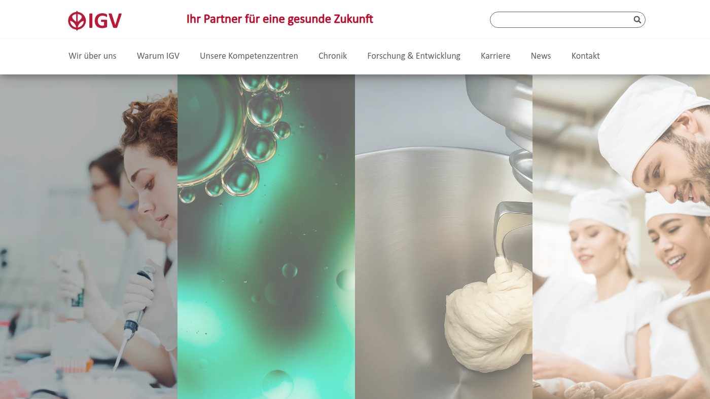 The home page of igv-gmbh.de