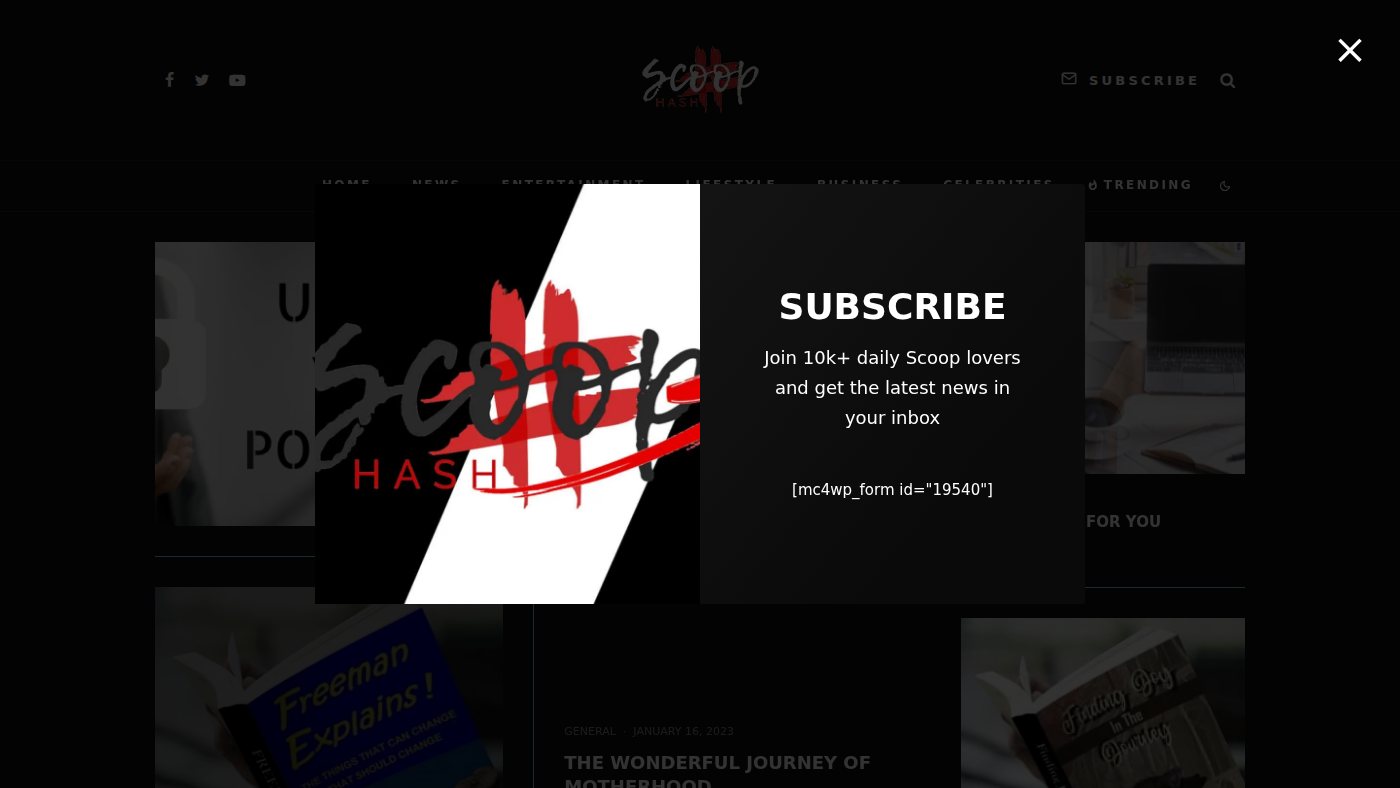 The home page of scoophash.com