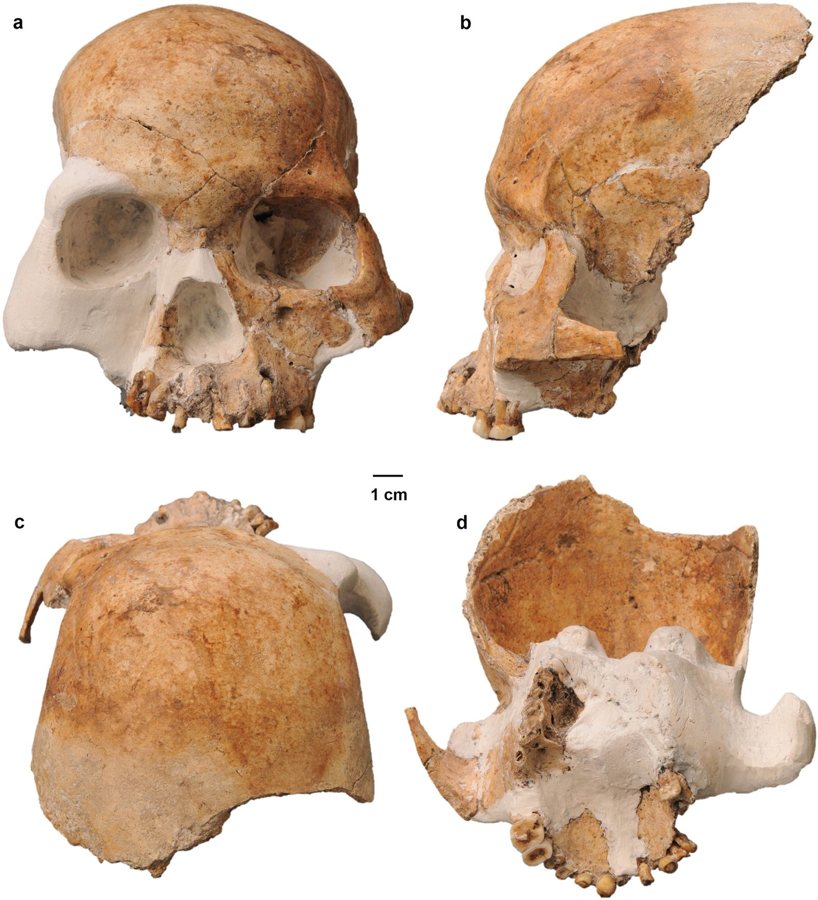 Scientists Recover Ancient Human DNA from Cave Walls