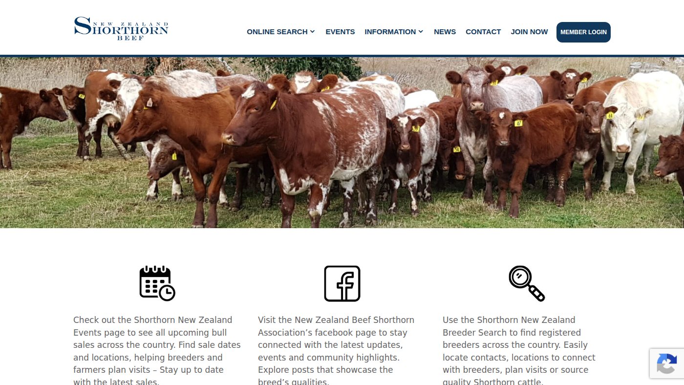The home page of shorthorn.co.nz