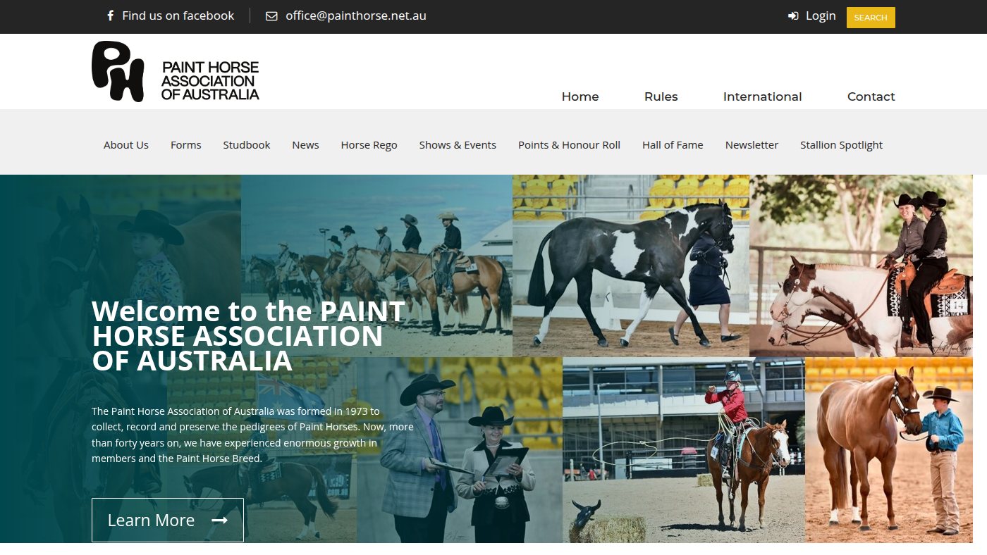 The home page of painthorse.com.au