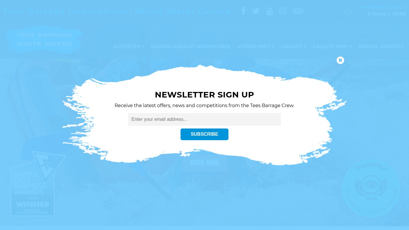 The home page of tbiwwc.com