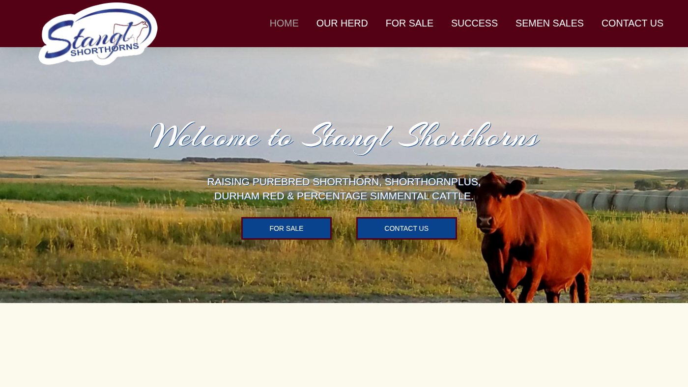 The home page of stanglshorthorns.com