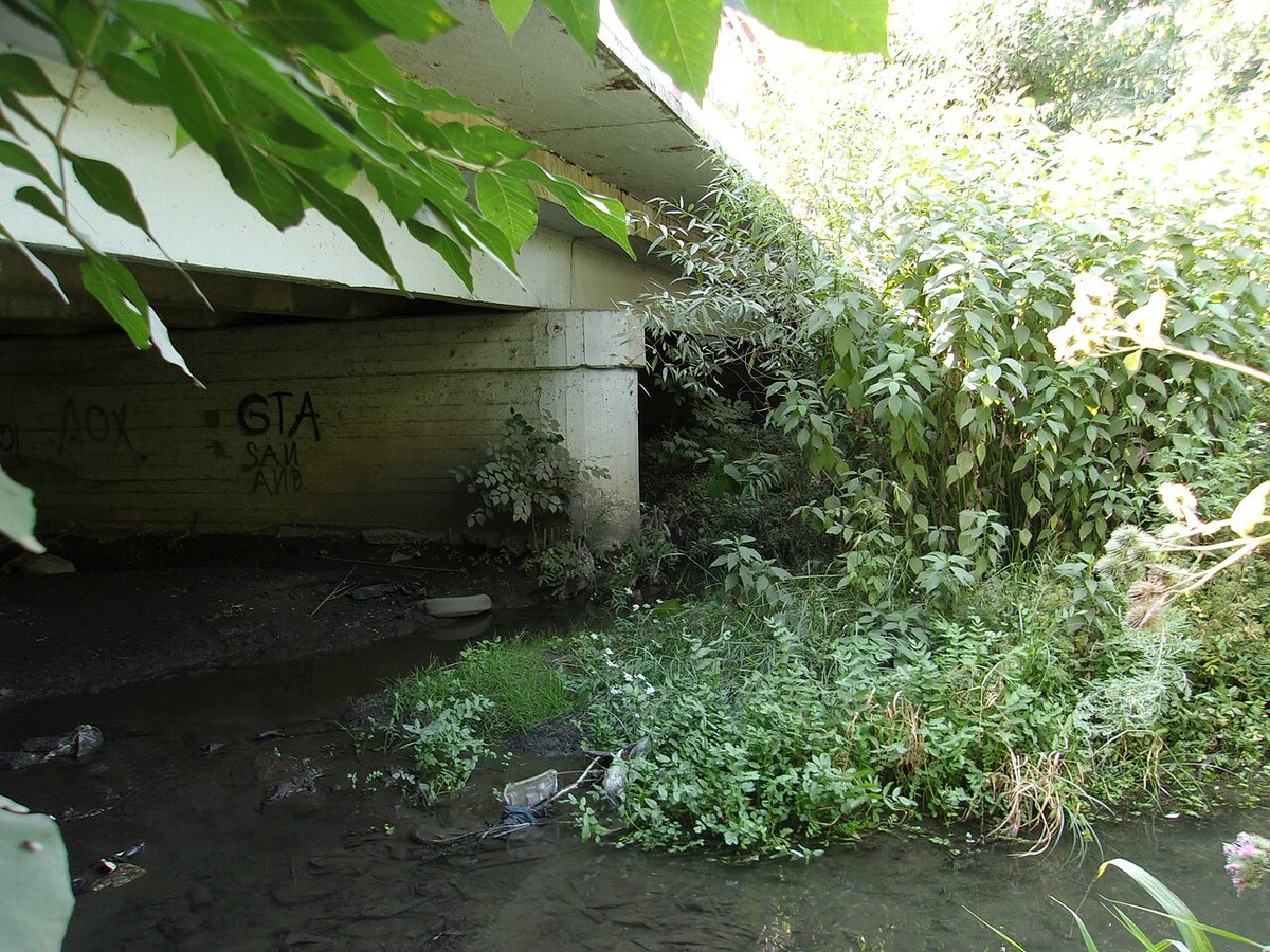 Puente sobre el río Grushevka, donde se encontró el cuerpo de Yelena Zakotnova el 24 de diciembre de 1978.