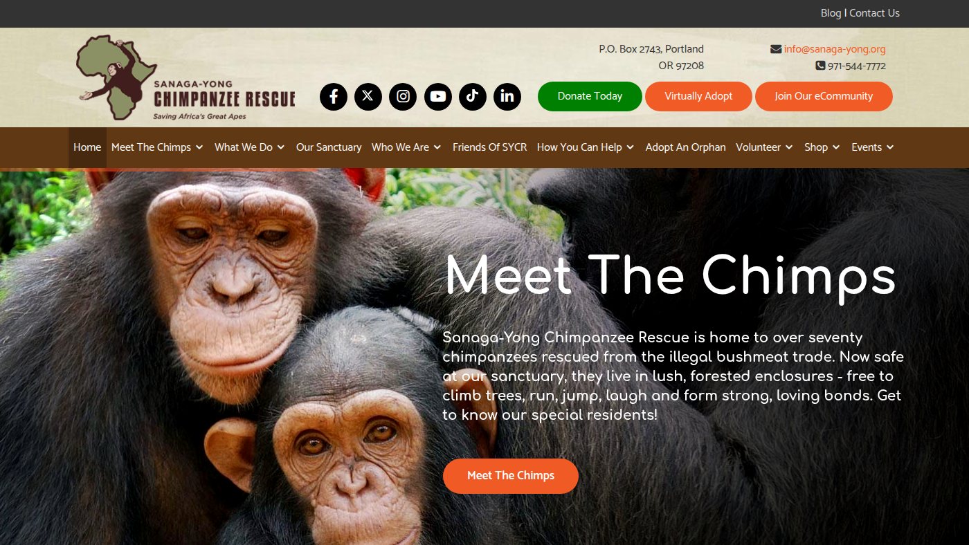 The home page of sychimprescue.org
