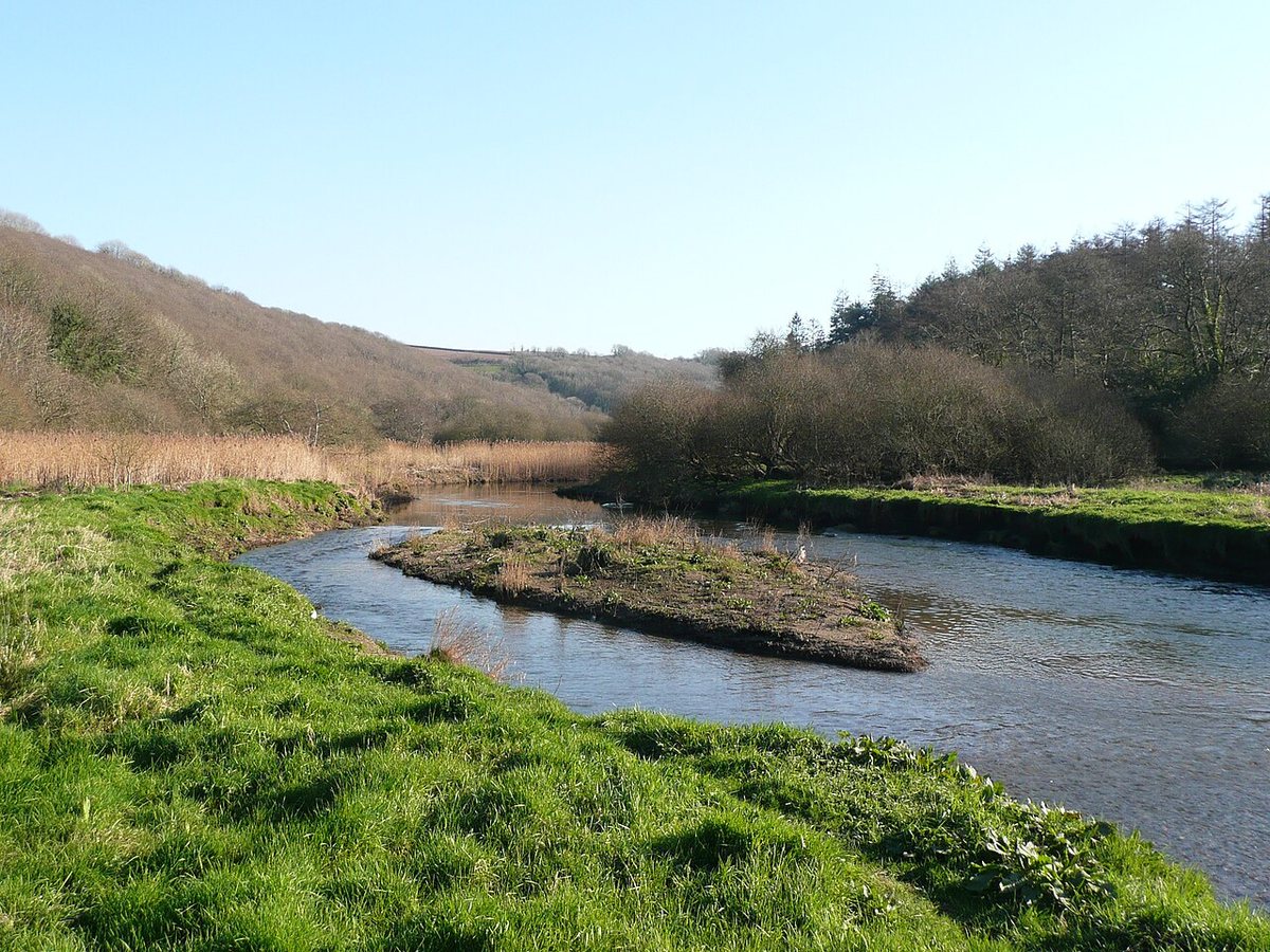‘Small changes can make a big difference’: how getting farmers, fishers and beavers together could save a Cornish river