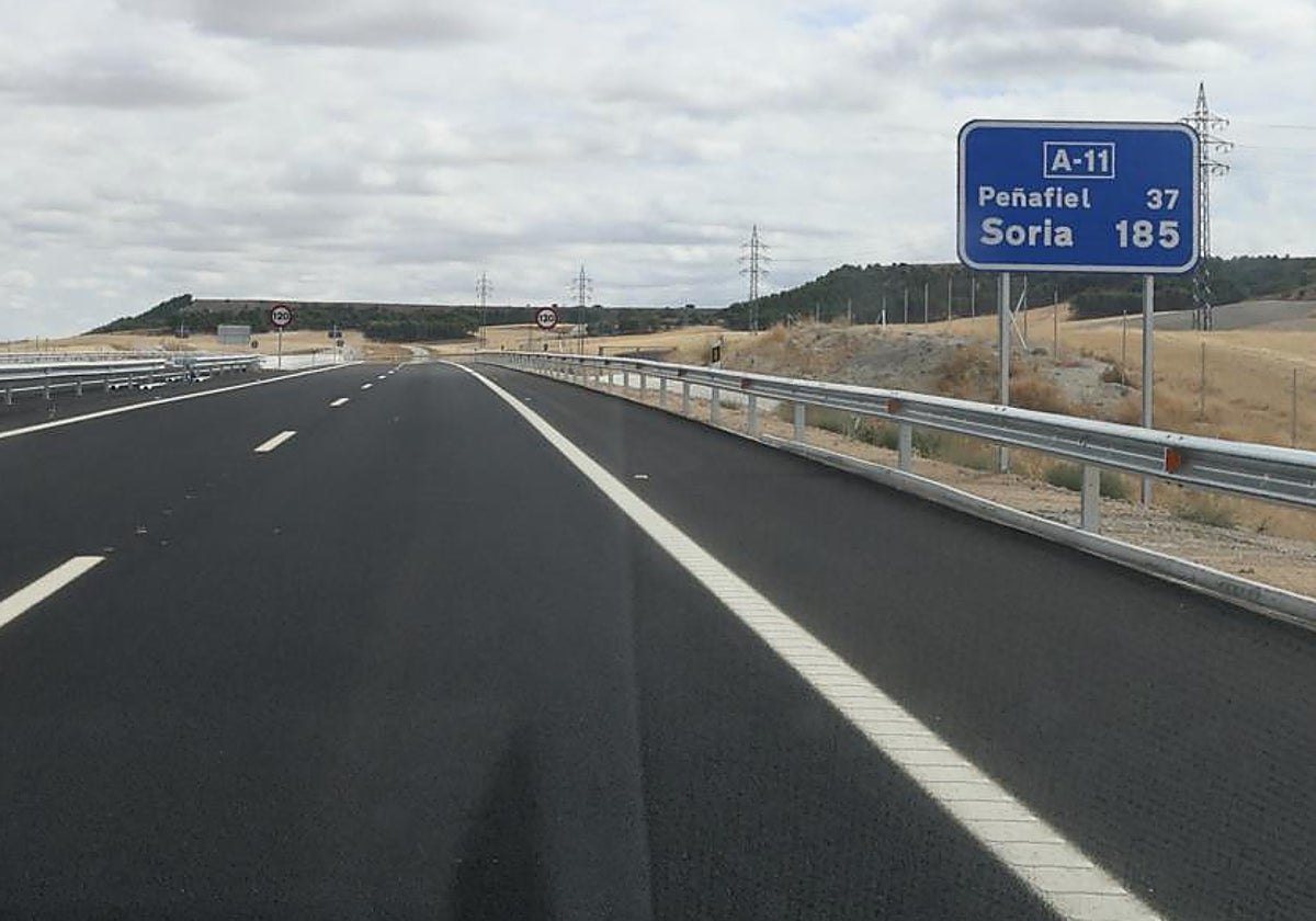 Arrolla a un piara de jabalíes y se empotra contra el quitamiedos en el primer accidente registrado en la A-11