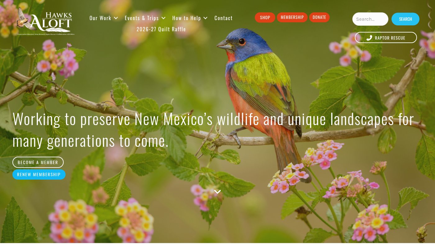 The home page of hawksaloft.org