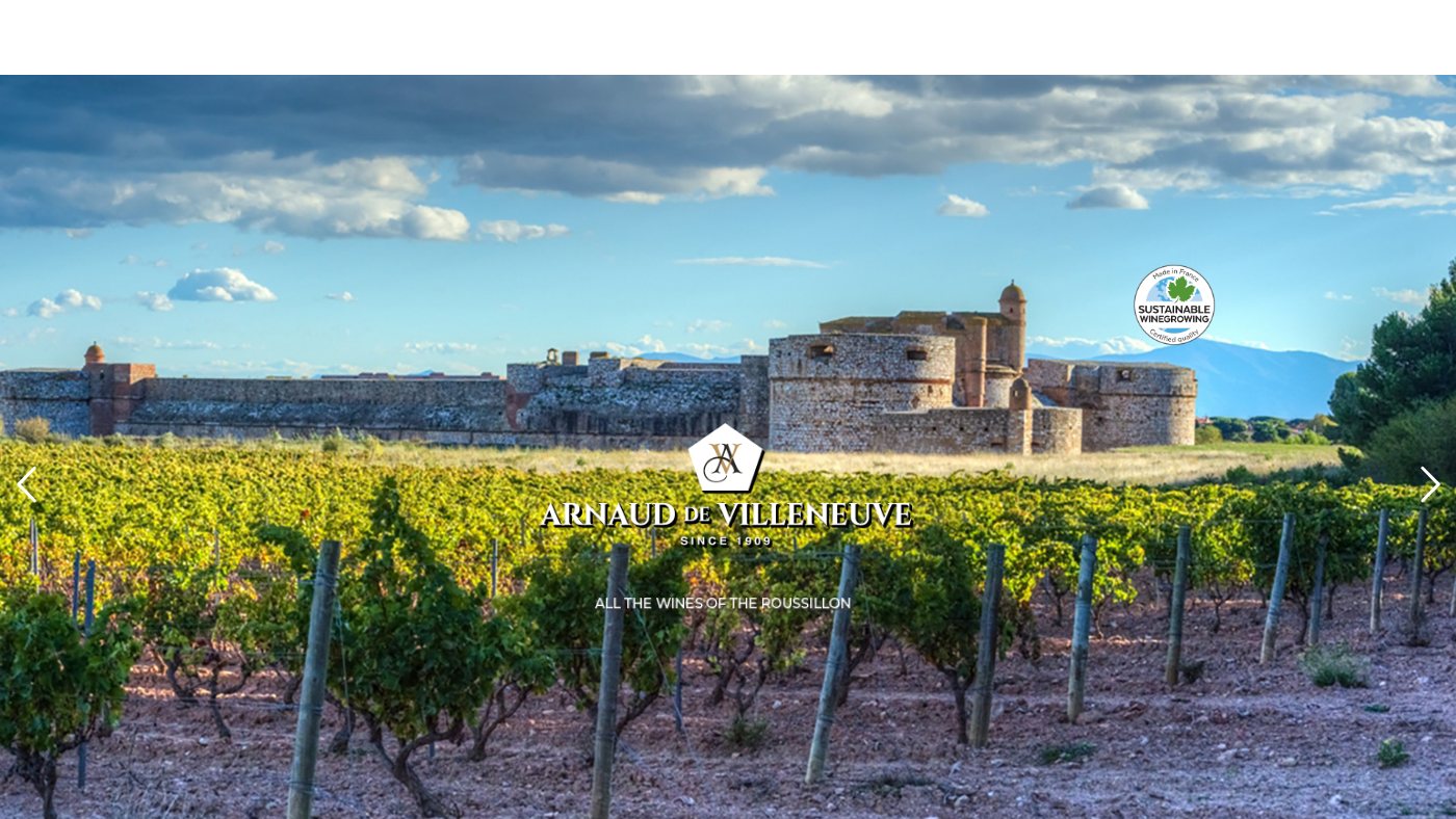 The home page of arnauddevilleneuve.com