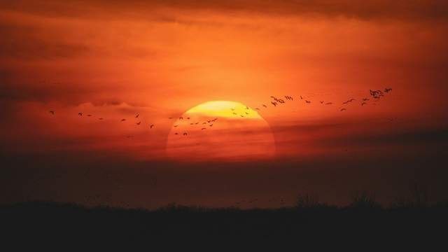 Магнітні бурі у серпні: чого чекати від Сонця в найближчий тиждень