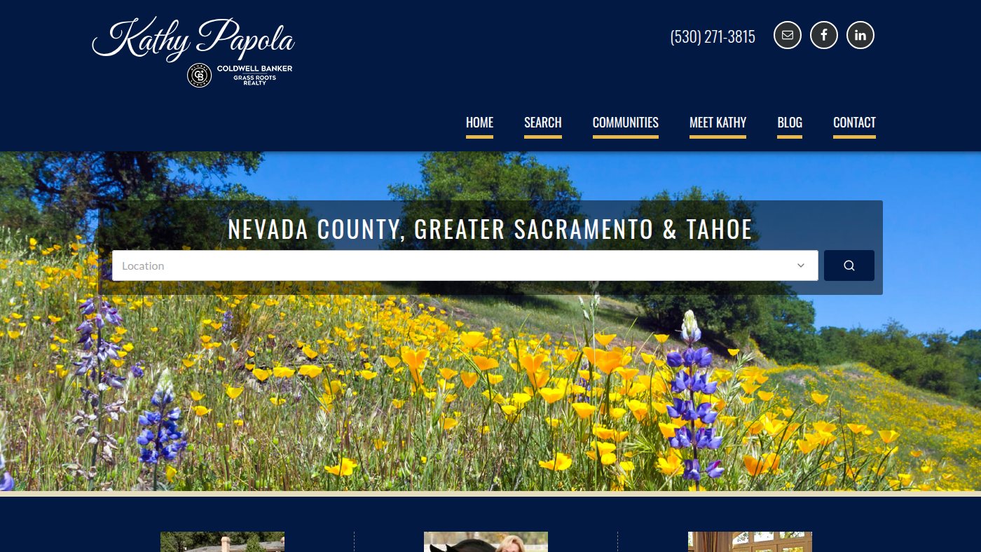 The home page of papola.com
