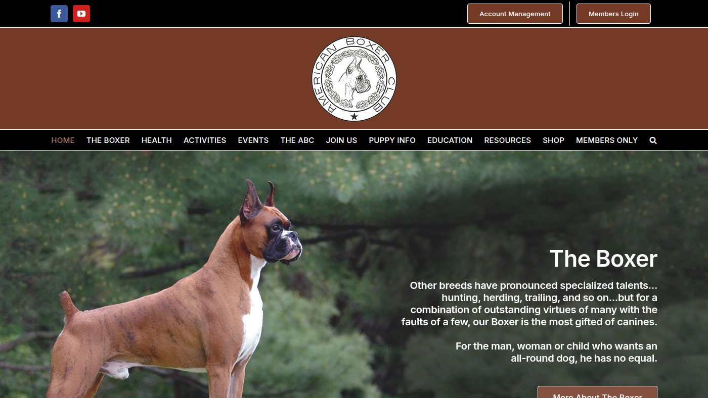 The home page of americanboxerclub.org