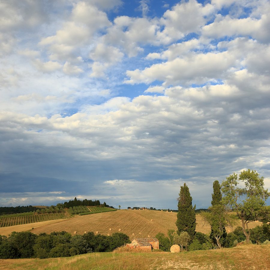 ‘A winning combination of culture and nature’: exploring Germany’s green heart by bus