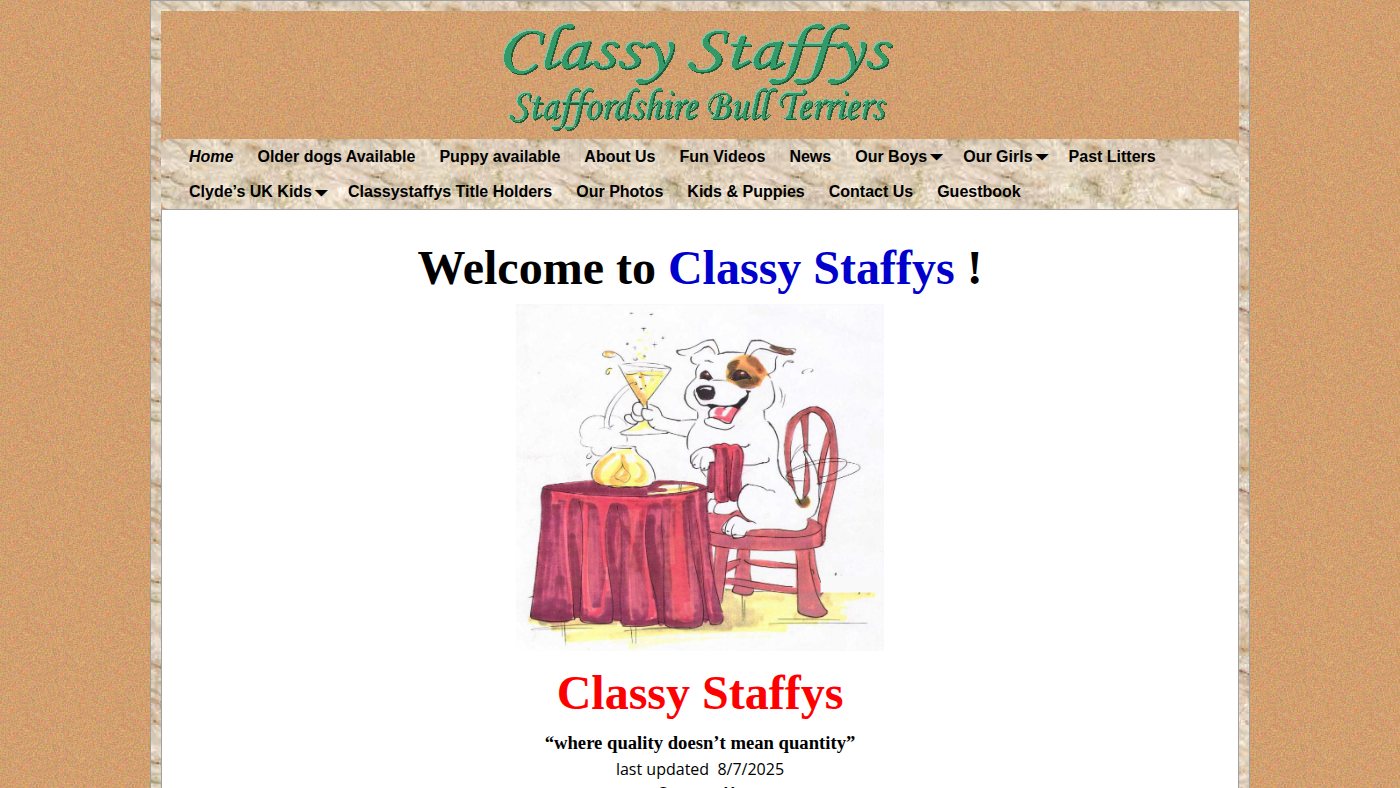 The home page of classystaffys.com