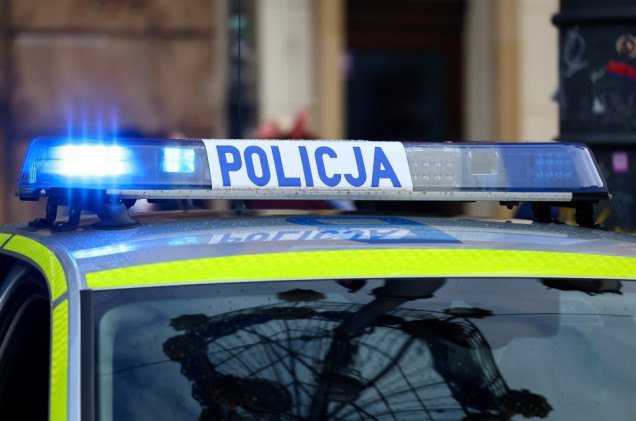Śmierć młodego piłkarza z Wielkopolski. Potrącona sarna wpadła do jego BMW