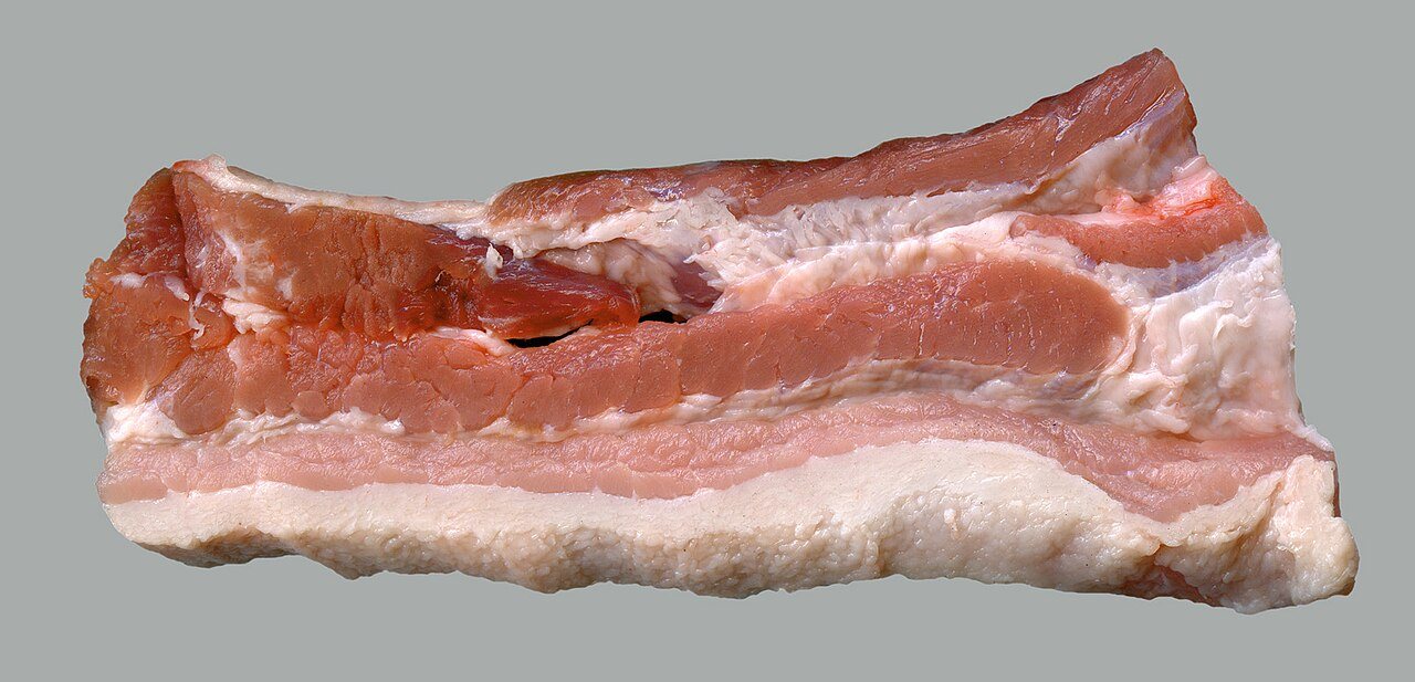 Scientists discover a hidden switch that burns fat and blocks new fat cells