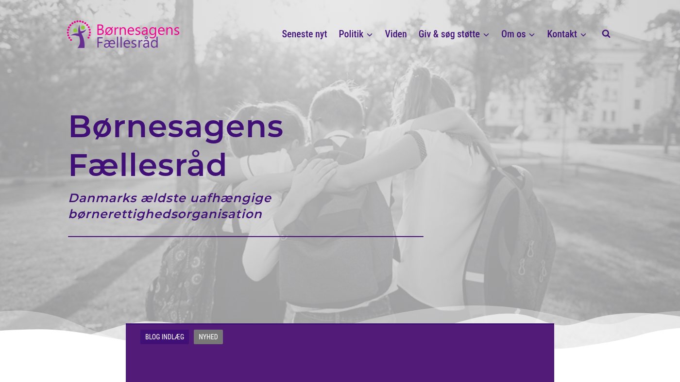 The home page of boernesagen.dk