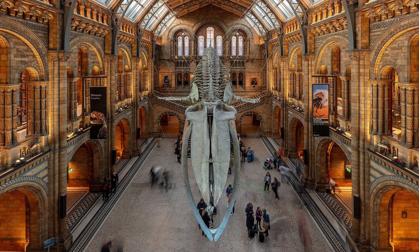 The Academy of Natural Sciences in Philadelphia, Pennsylvania