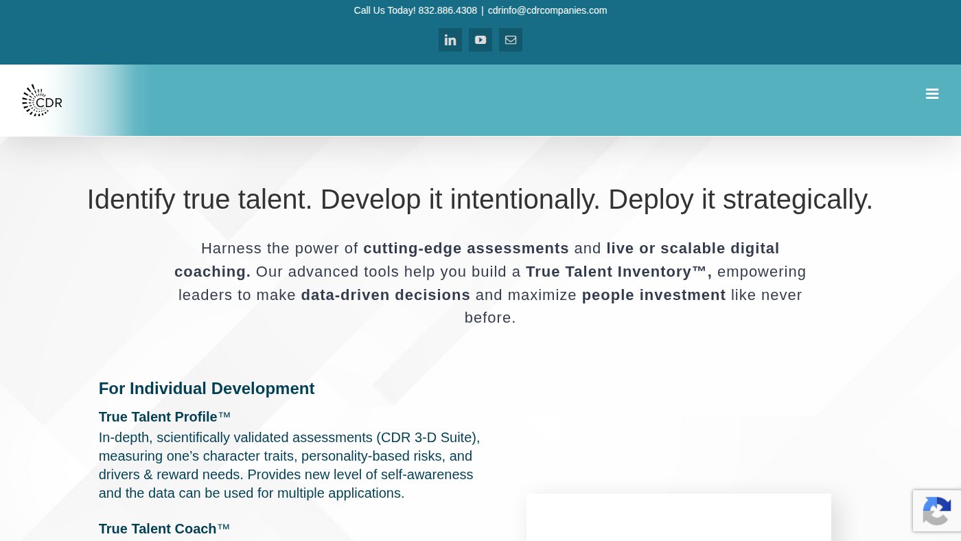 The home page of cdrassessmentgroup.com