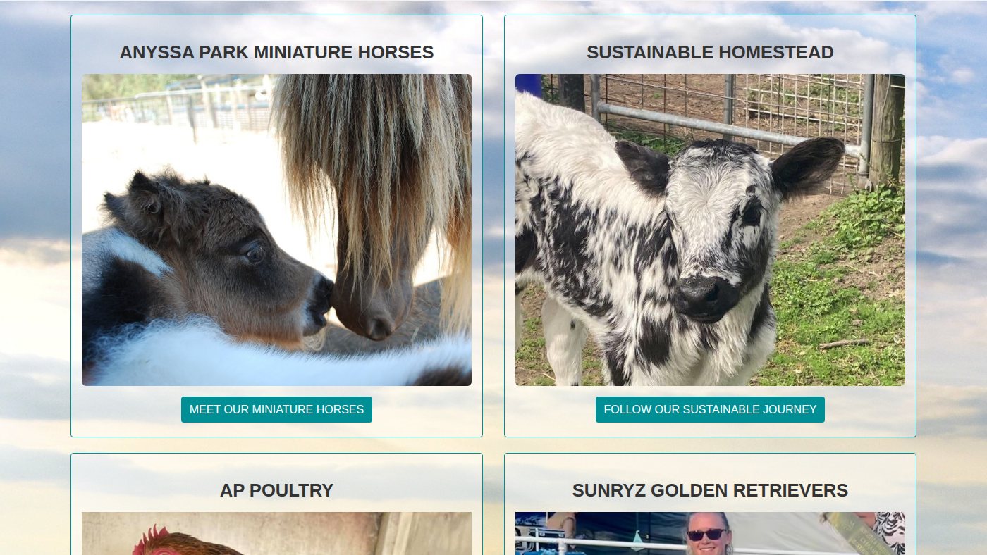 The home page of anyssapark.com