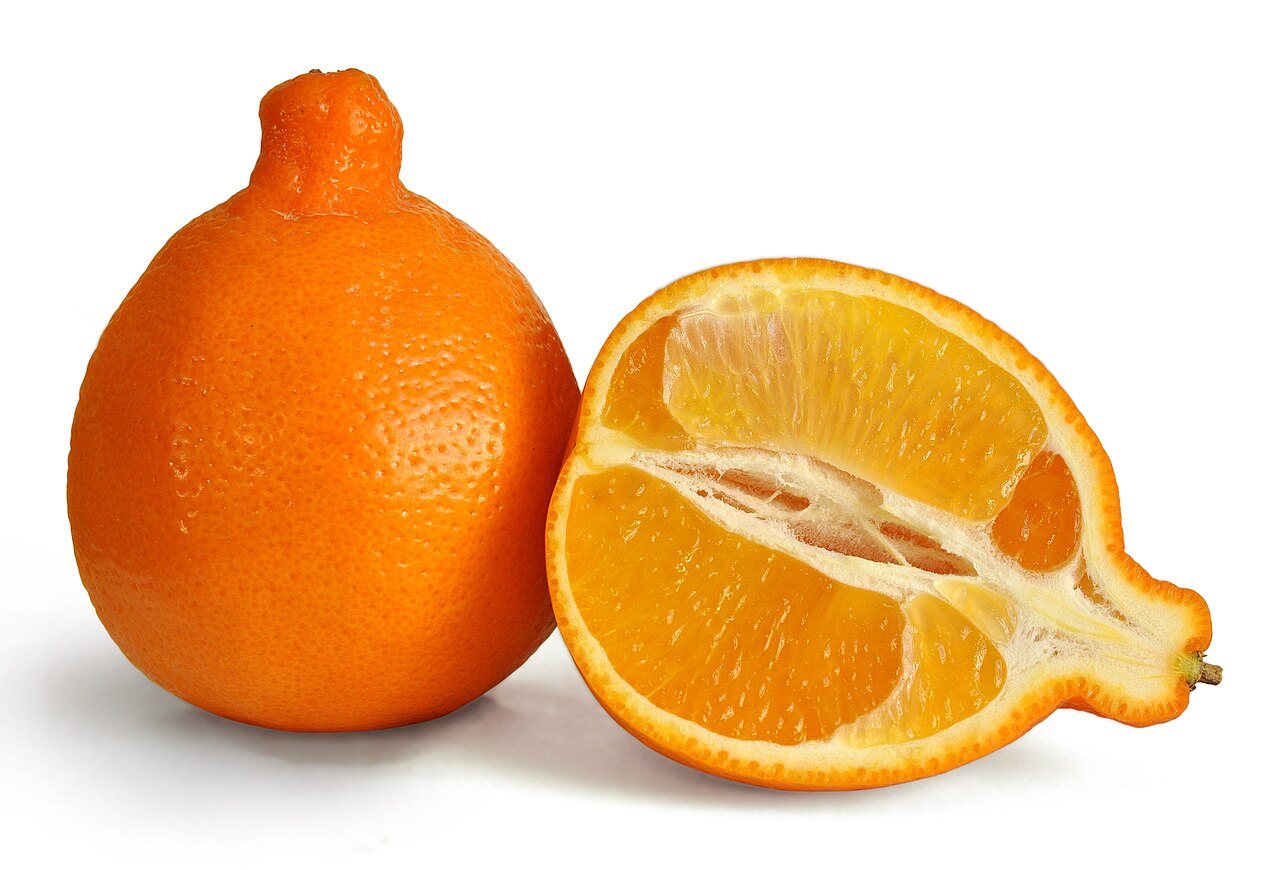 Przypomina mandarynkę. Tangelo to pogromca tłuszczu